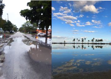 El ‘podcast’ toma cuerpo en el arte