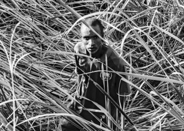 David Goldblatt: retratos de exconvictos en el lugar de sus crímenes