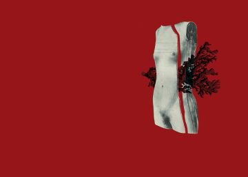 La pertinencia de los límites