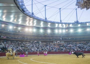 Mucho te quiero, torito, pero pan, poquito (I)