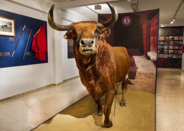 En qué invierten el presupuesto taurino ocho comunidades y nueve diputaciones (y II)