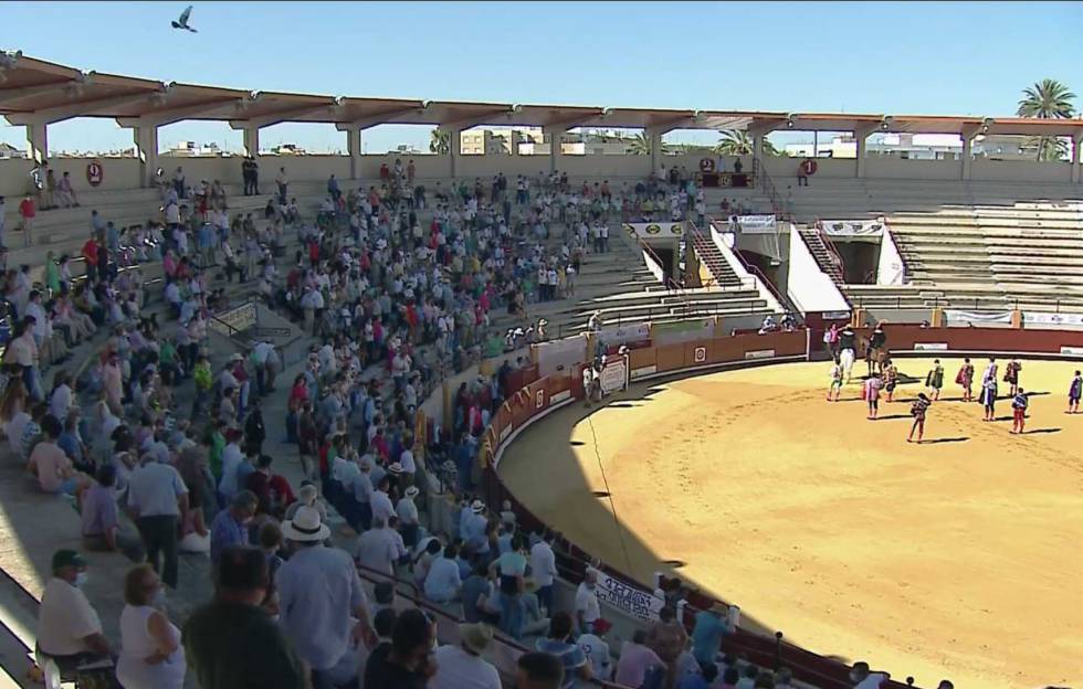 Celebration without picadors held last day 4 in the Seville town of Morón de la Frontera.