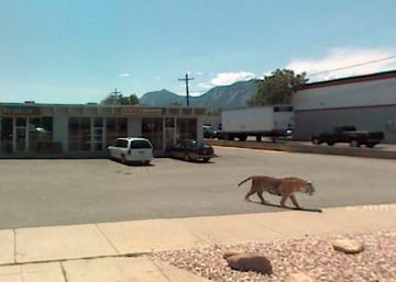 Street View, un dios menos cruel