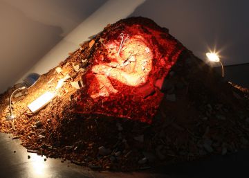 Francesc Torres: un pecio en el museo