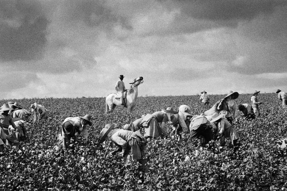 Photograph of Tamón Masats taken in Jerez de la Frontera (Cádiz) in 1965.