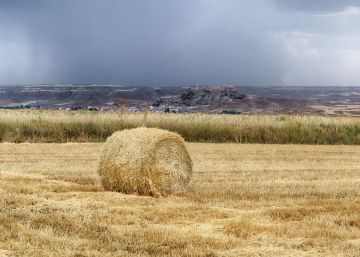 La covid-19 en La Cañada: Cuarentena en la España vacía