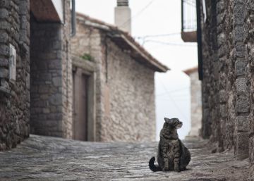 “Siempre viene uno de fuera a joder la marrana”