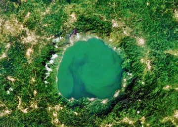 ¿Dónde vas, triste de ti?