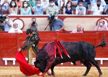 El toro íntegro es el único que puede salvar la fiesta (y los taurinos no se enteran)