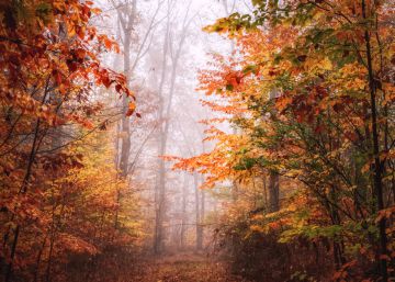 Música clásica para huir del verano