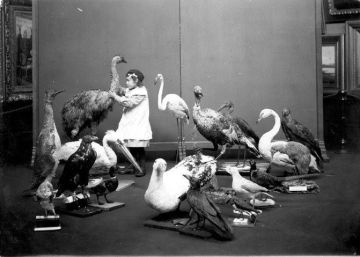 Barcelona: vida inteligente en el agujero institucional