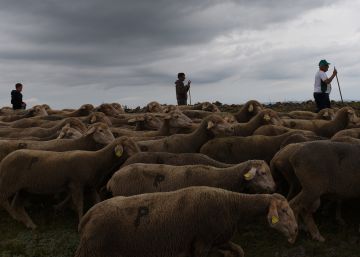 El valor de las manos