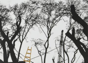 Diez libros de esta semana