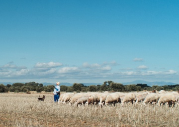 Regreso al pueblo de los veranos infantiles: las verdades que habitan la España vacía