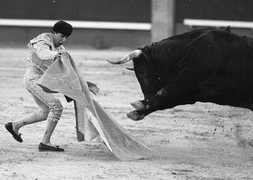 Domingo Valderrama, torero olvidado, pequeño de estatura y gigantesco corazón