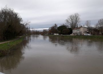 Volver al campo en busca de los orígenes