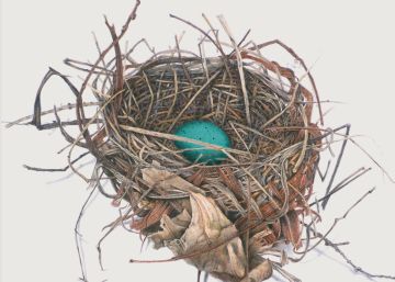 La maternidad según Guadalupe Nettel y otros 9 libros de la semana