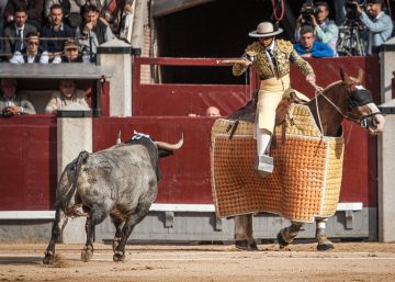 Saltillo, peripecias de un hierro histórico y un ganadero enamorado