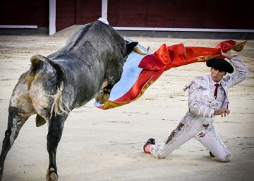 Francisco Montero: “Quiero ser un revolucionario del toreo y ponerme rico (aunque esté feo decirlo)”