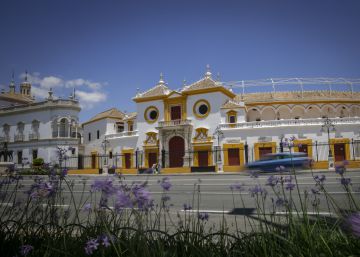 Los toros salen del coma y desafían a la pandemia en la Maestranza de Sevilla