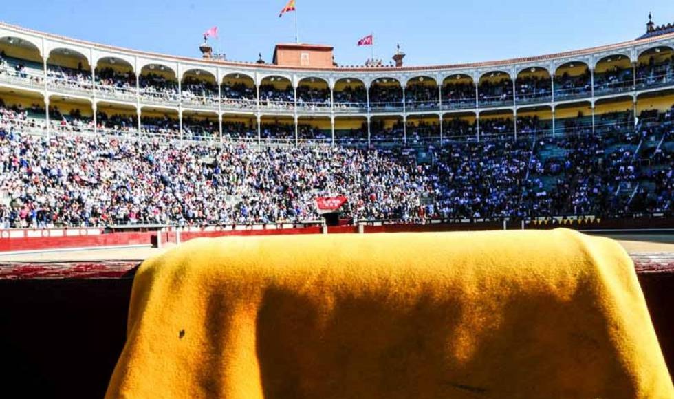 Afternoon of bulls in Madrid.