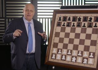 Stein, tan brillante como aciago