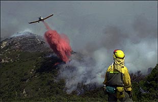 foto de la noticia