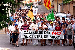 foto de la noticia