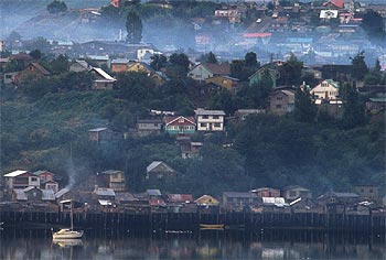 La pesca y el cultivo de musgo destacan en la actividad econÃ³mica de ChiloÃ©, la isla del sur de Chile en la que una lluvia fina descarga de forma casi permanente.