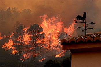 foto de la noticia