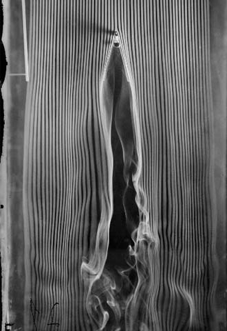 Étienne-Jules Marey, el hombre que fotografió lo invisible