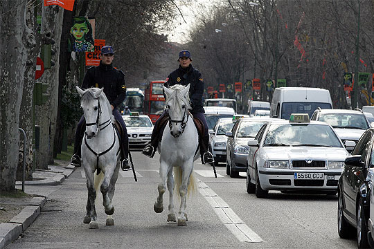 foto de la noticia