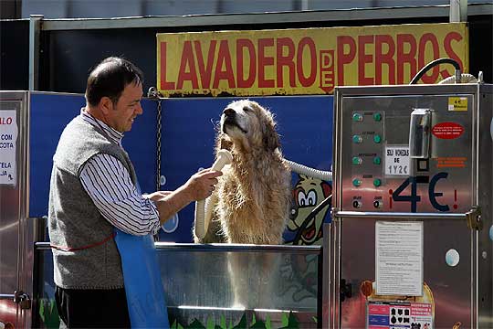 foto de la noticia