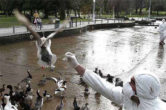 foto de la noticia