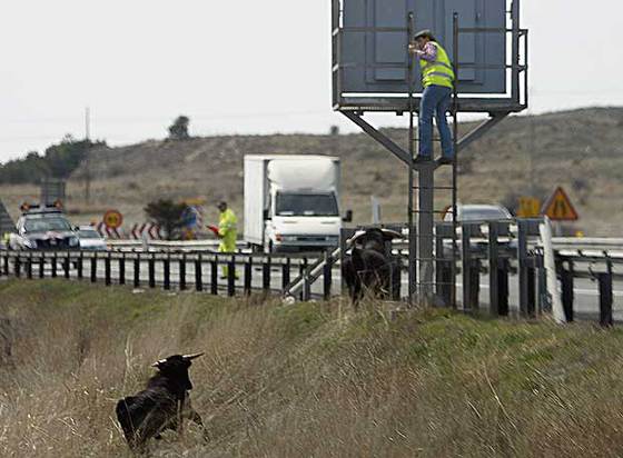 foto de la noticia