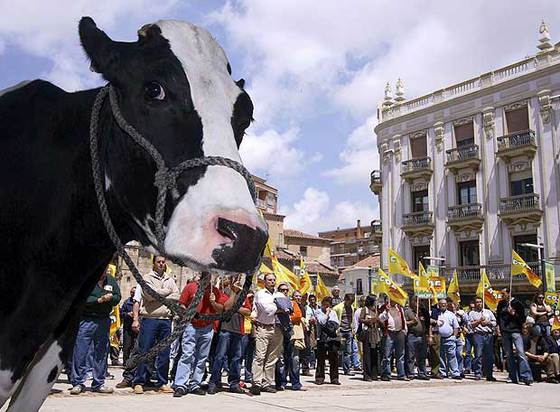 foto de la noticia