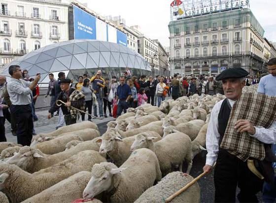 foto de la noticia