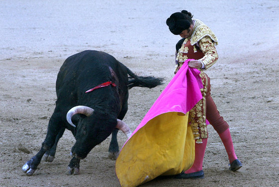 foto de la noticia