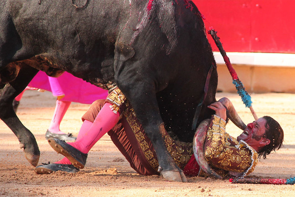 Padilla Sufri Un Revolcn En Su Primer Toro Edicin Impresa EL PAS