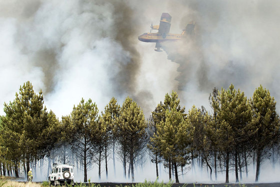 foto de la noticia