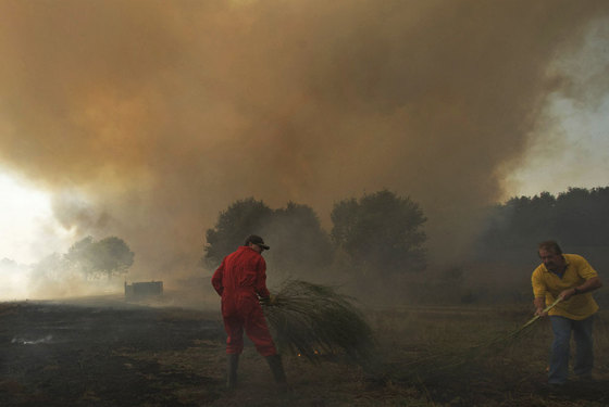 foto de la noticia