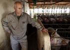 Los granjeros se ahogan en la burbuja del cerdo