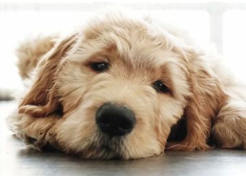 Nueve actividades que hacer con Uber (y ninguna equivale al taxi)