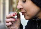 Marihuana medicinal en las Américas