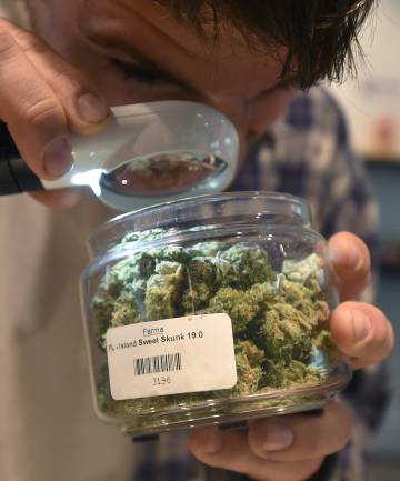 Un hombre inspecciona marihuana en un dispensario de este producto en Portland, Oregón. 