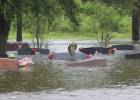 La tormenta Harvey amenaza los precios de la gasolina en México
