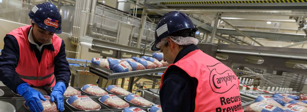 Empaquetado de jamones en la fÃ¡brica de CampofrÃ­o (propiedad del grupo Sigma) en Burgos. 
