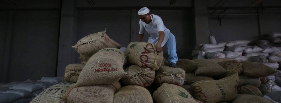 el valor añadido del cacao de oaxaca economía el paÍs