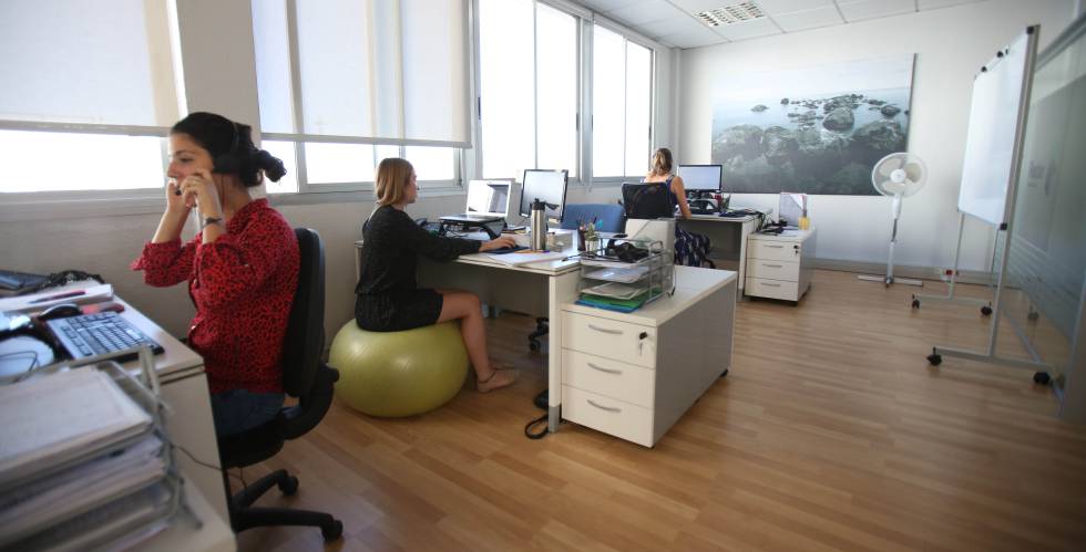 Mujeres trabajando en las oficinas de una pyme vasca.