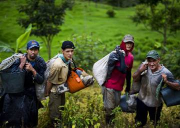 El despertar del cafÃ© en la Colombia petrolera